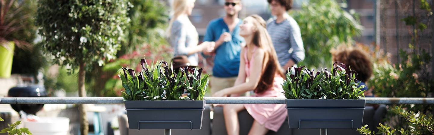 loft urban trough allin1 50cm anthracite